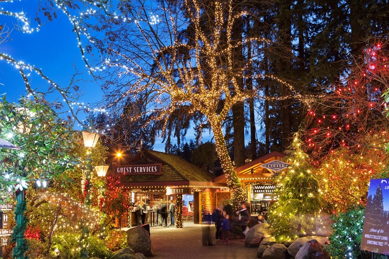 Capilano Suspension Bridge Park on Vancouver