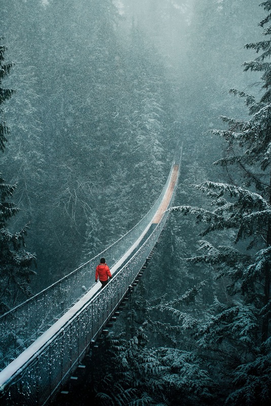 Capilano Suspension Bridge Park on Vancouver