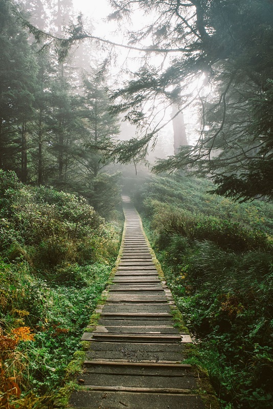 Top 10 Tourist Attractions in British Columbia