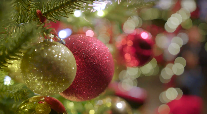 Stanley Park – Bright Nights