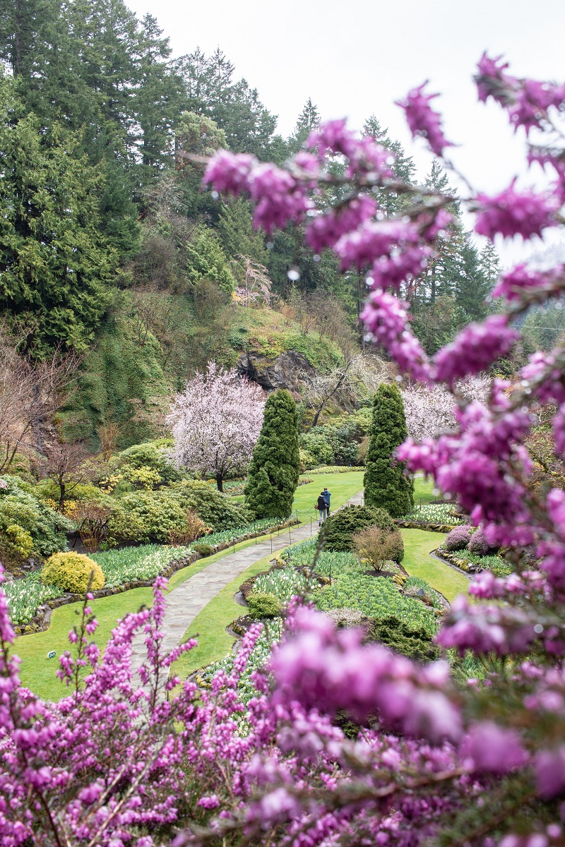Best Tours to Butchart Gardens from Vancouver