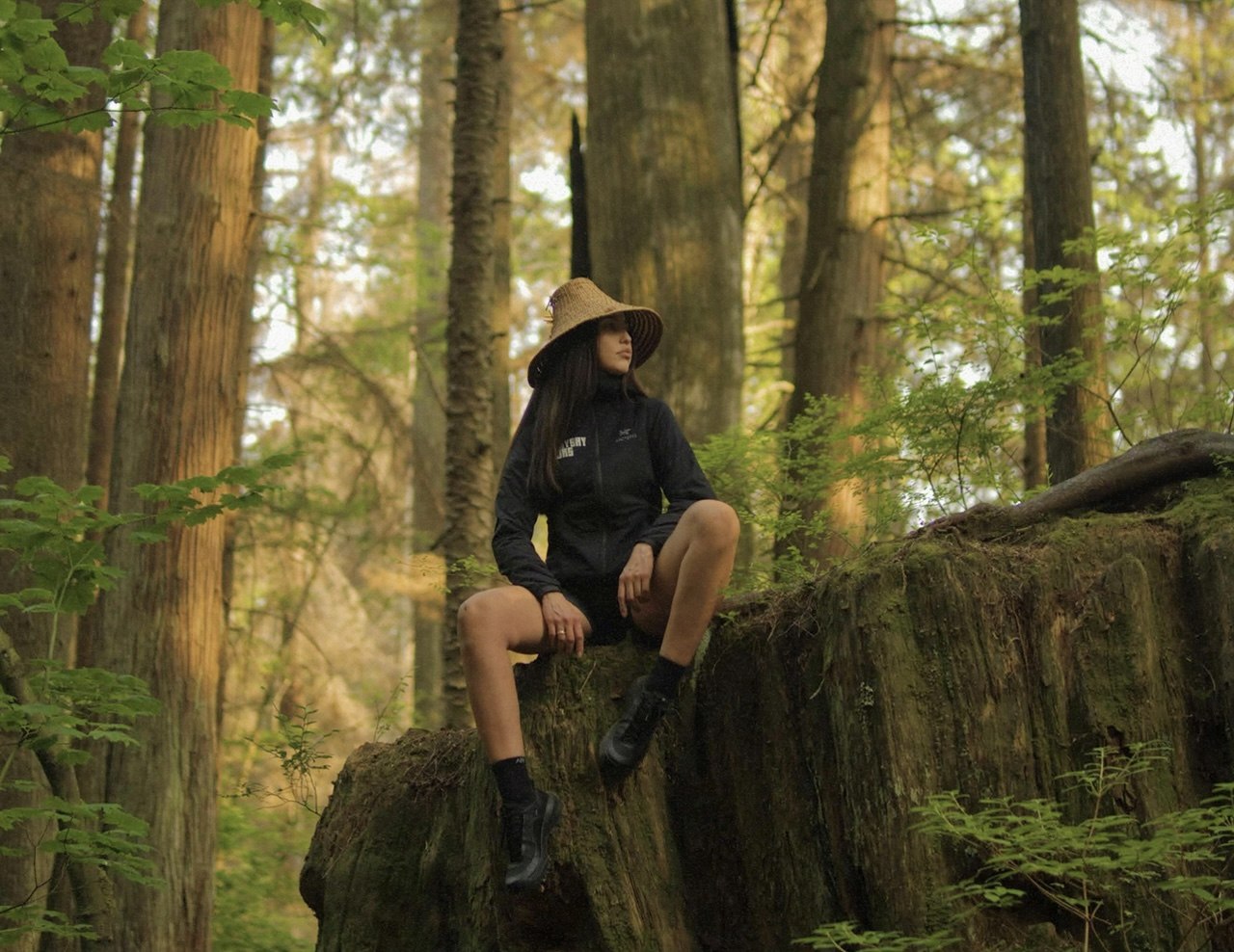 HOHO + Talaysay Talking Trees Tour